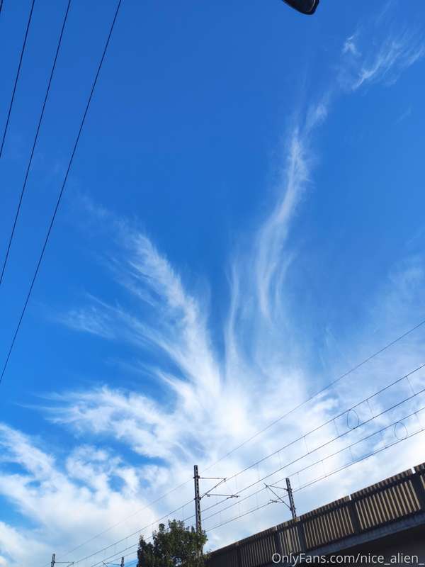 Cloud tentacle porn