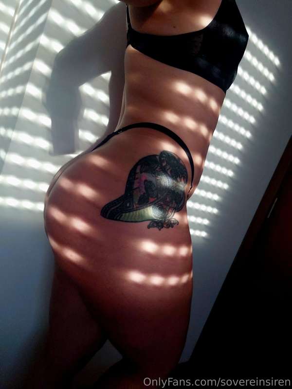 Sunlight in my ass 😘