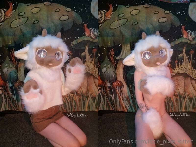 My newest fursuit, Haruki the Sheep 🐑 1