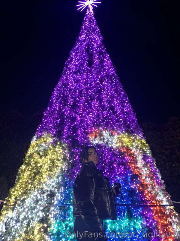 🎄