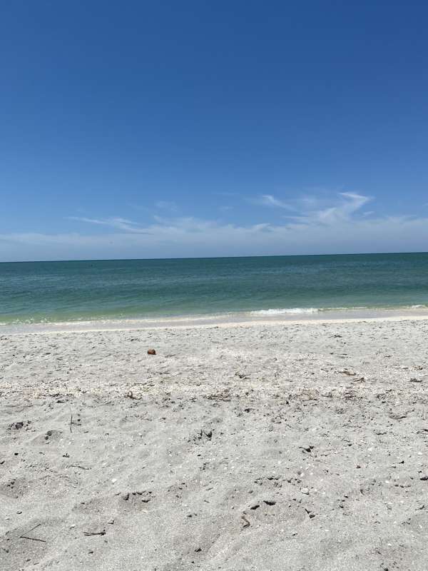 Got my Vitamin Sea for the day! 🌊🐚 Sending out all these 50%.. 2