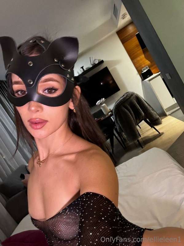 pussy cat 🐈‍⬛