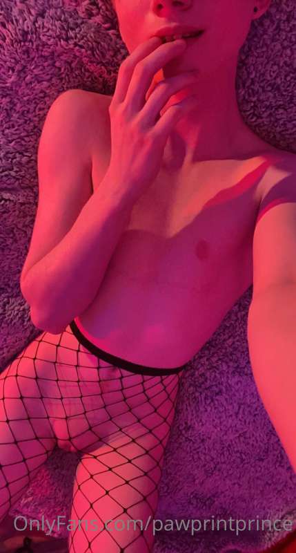 Pawprintprince - Onlyfans - 15 Mar, 2022
