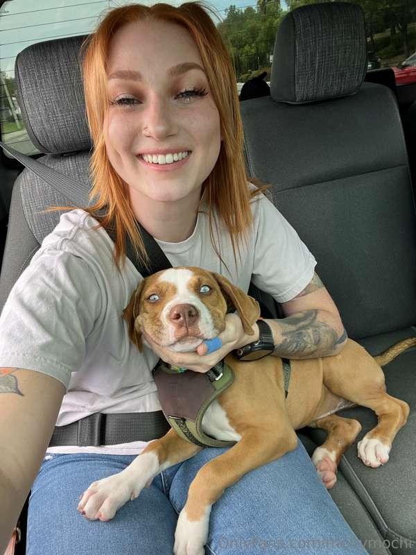 So I’ve been fostering two cute little puppies, trying to fi.. 3