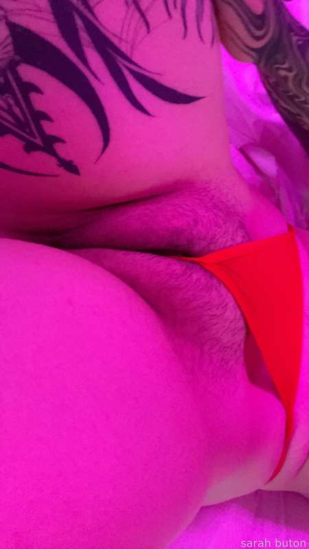 Analwonderland - Fansly - 30 Jul, 2024