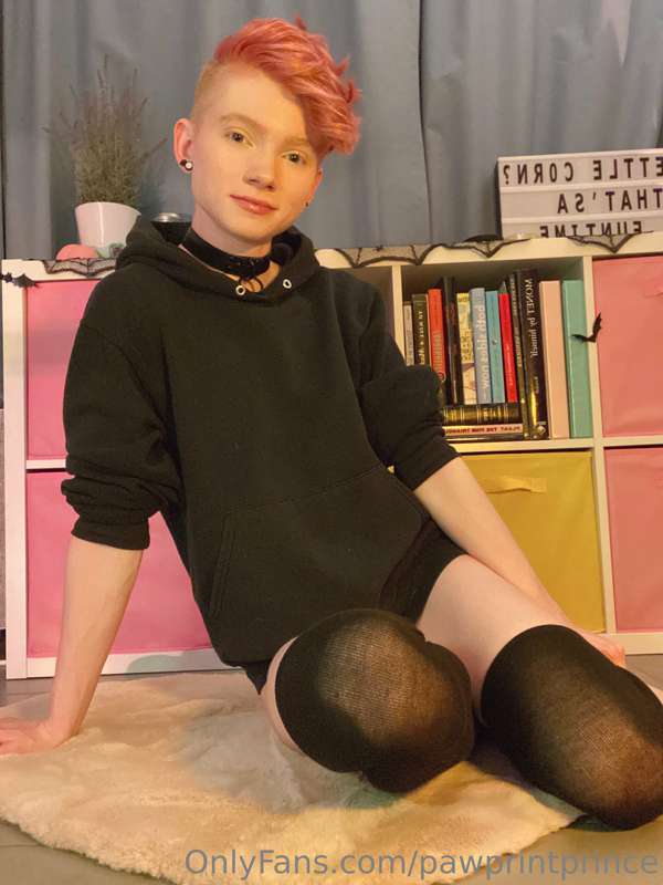Pawprintprince - Onlyfans - 31 Oct, 2022 8