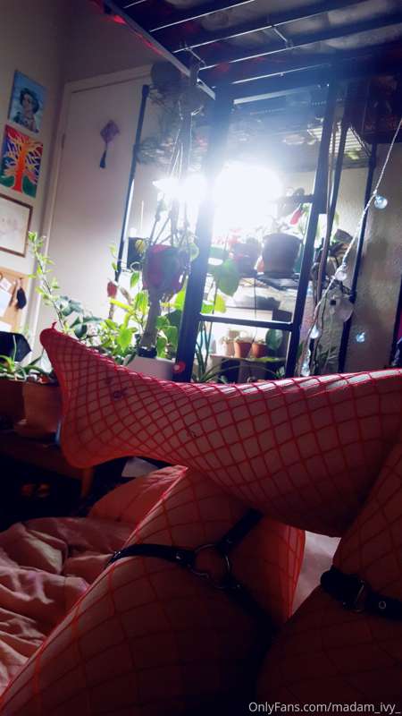 Thicc thighs with fishnet, thigh garders, corset and choker. 4