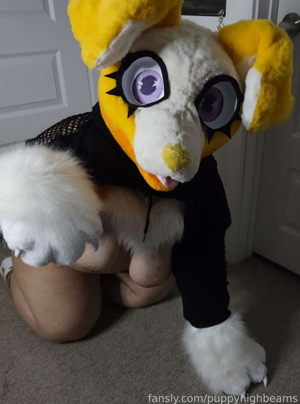 Puppyhighbeams - Fansly - 20 Mar, 2025