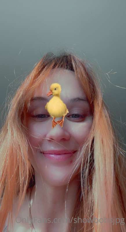 🐥🐣 took a break from cleaning n found this cute duck filter .. 2