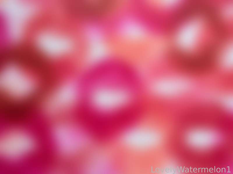 Lovelywatermelon1 - Fansly - 26 Dec, 2024 3