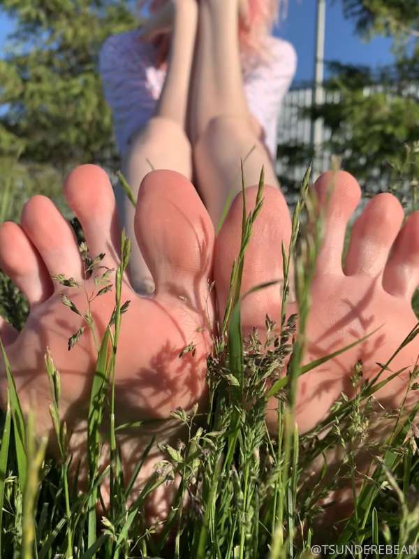 Have a good Sun🌻day! 2