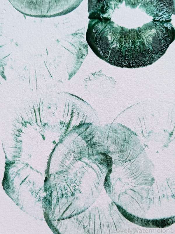 Lovelywatermelon1 - Fansly - 02 Dec, 2024 21