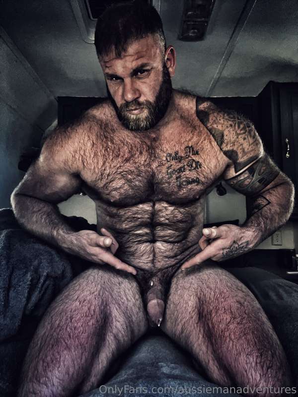 Just a big cuddly hairy bear 🐻 