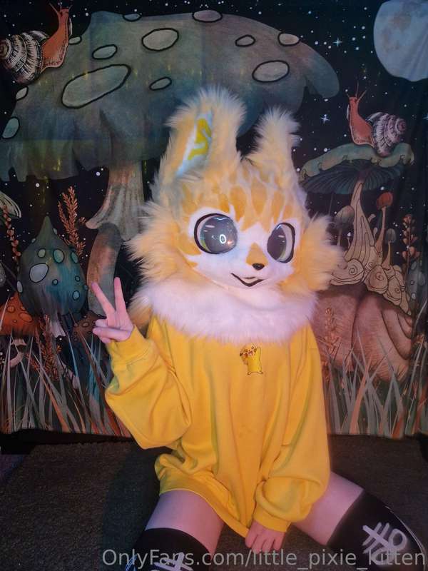 One of my new fursuit heads, Kiko aka Lil Tra$h Bby 💛 🗑 5