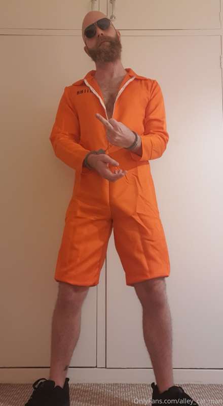 Here's a sneak peek at my next video idea. 

**INTRODUCING P..