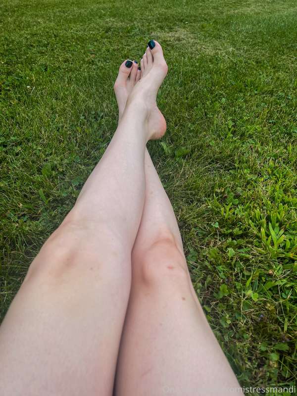 Pictures taken from my POV! 5
