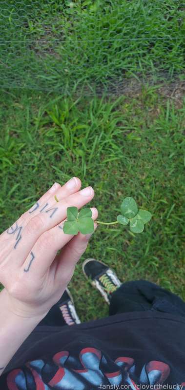 Cloverthelucky - Fansly - 19 Jun, 2023 1