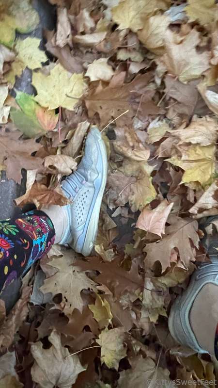 Is there anything better than the soft crunch of leaves unde..