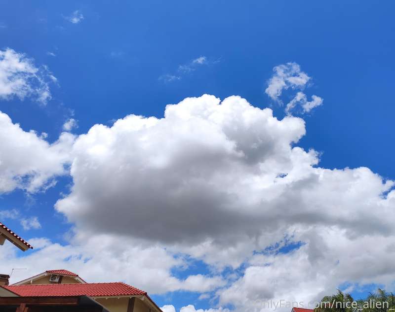Fluffy sky day