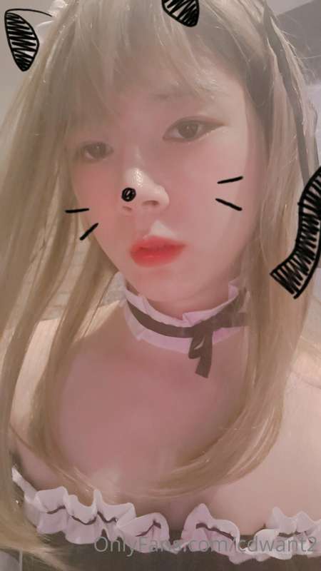 메이드복 사진 26장!!

26 photos of maid clothes!! 13