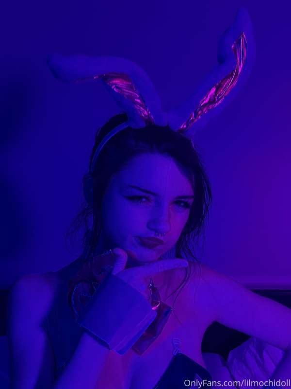 Dva bunny 17