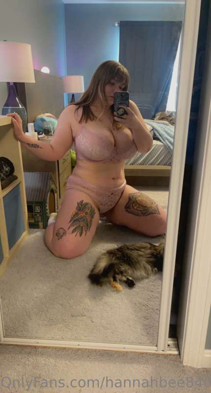 two old cats 5