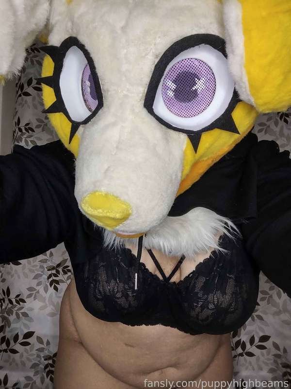 Puppyhighbeams - Fansly - 17 Jun, 2025