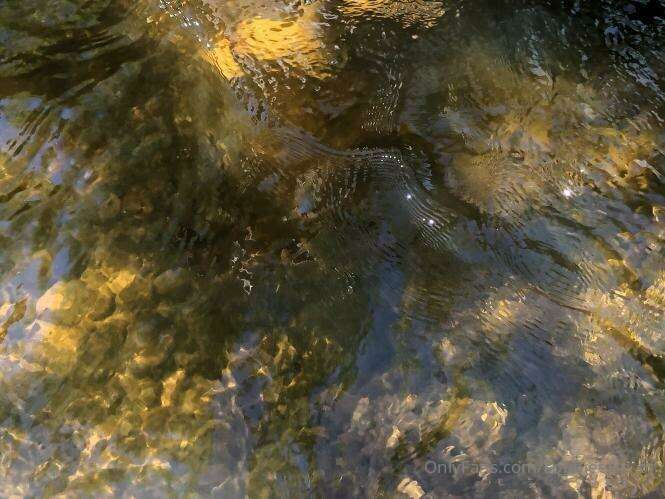 Cooling down with a creek walk on one of the last hot days b.. 6