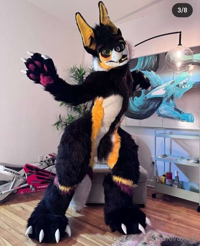 Little inside everybody, got a fullsuit with some "special" ..