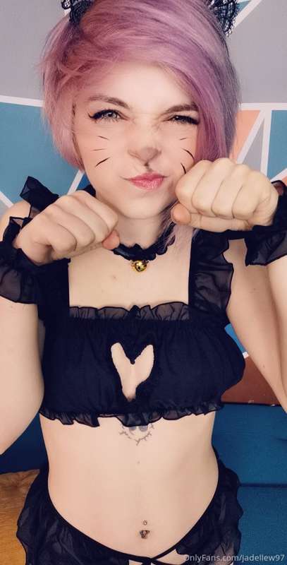 I'm a kitty 😻
