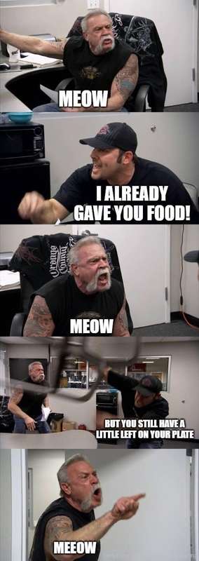 Memesareamazing - Onlyfans - 27 Mar, 2021
