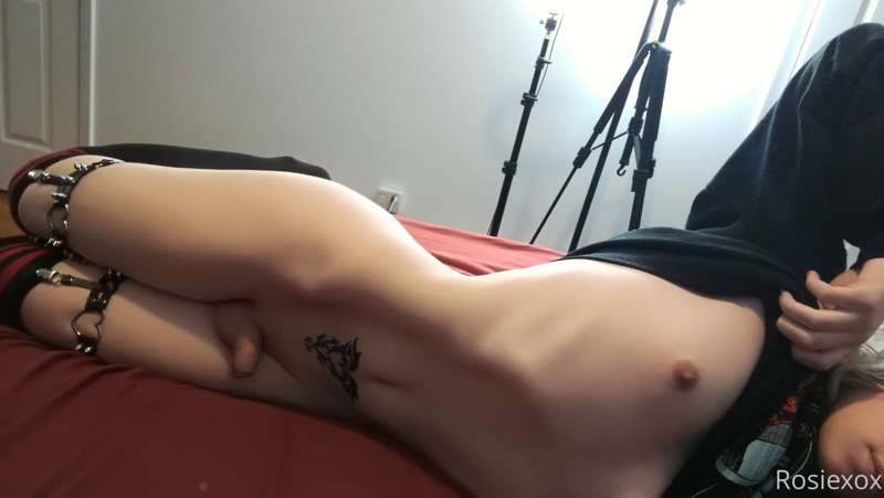 Femboy Set 3/6 x 24