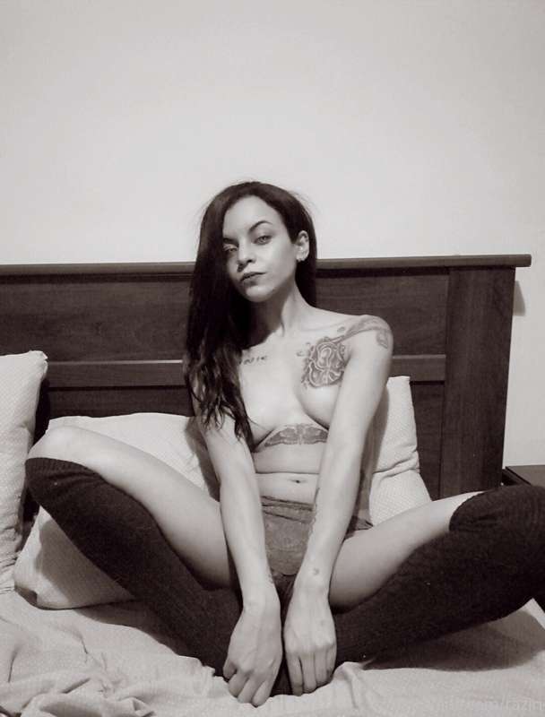 Violet 2