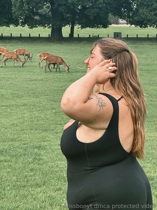 🌿🦌