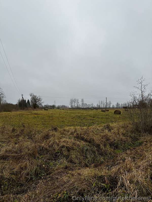 Today my friend and I went searching for a German cemetery f.. 17