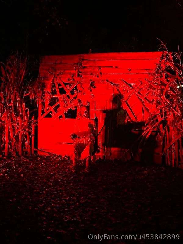 Spent the evening with my family at a Halloween park. Surpri.. 7