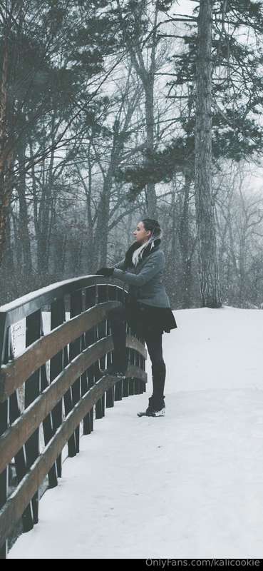 I love the beauty of the  snow it makes everything  look so ..