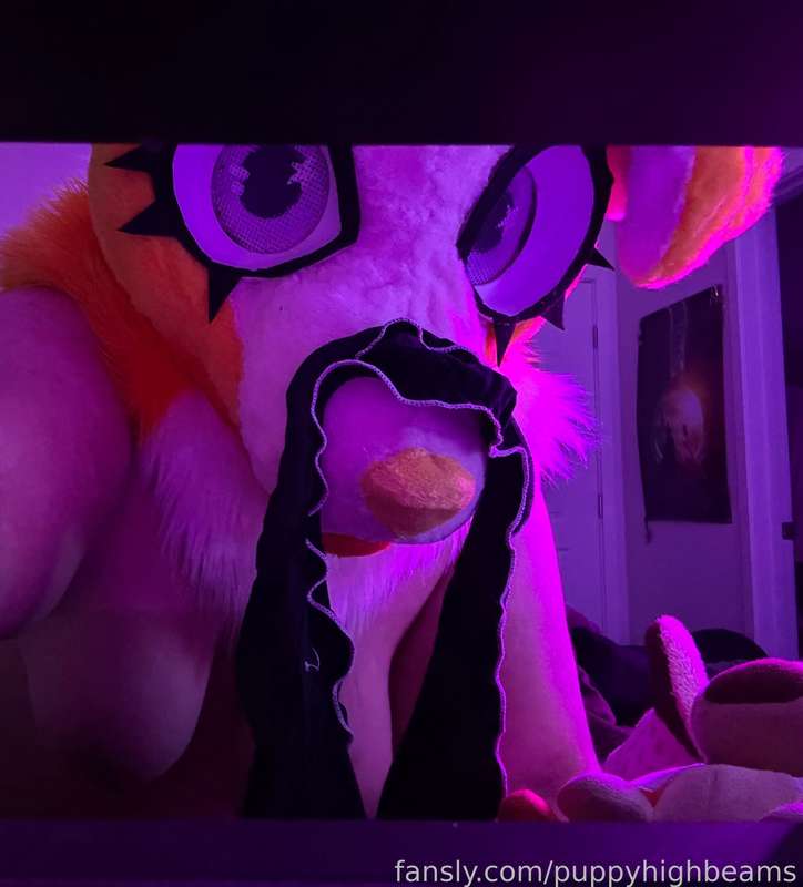 Puppyhighbeams - Fansly - 25 May, 2025