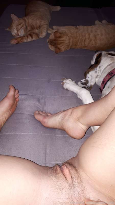 Look at those pussies 😹🤪