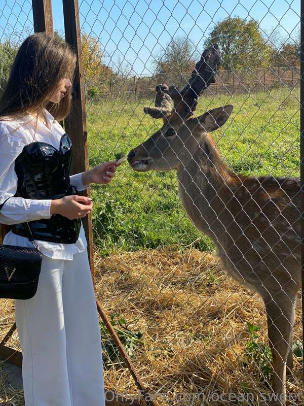 Animals are my special kind of relaxation🦌  And how do you r..