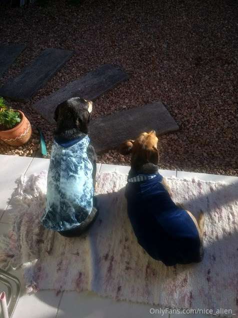 Partners