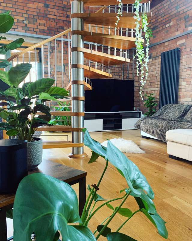 Slowly but surely turning our living room into a jungle 🌲🌳🌱🌿