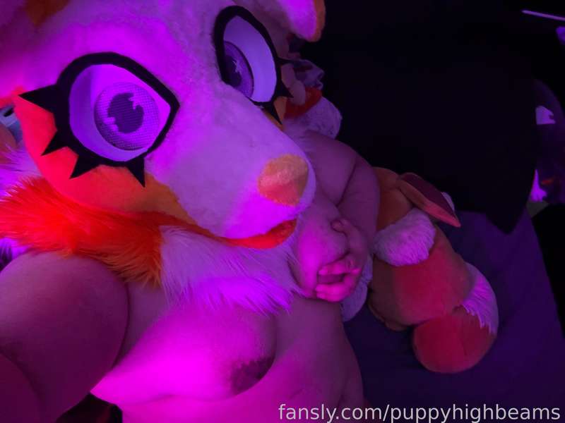 Puppyhighbeams - Fansly - 01 Jun, 2025