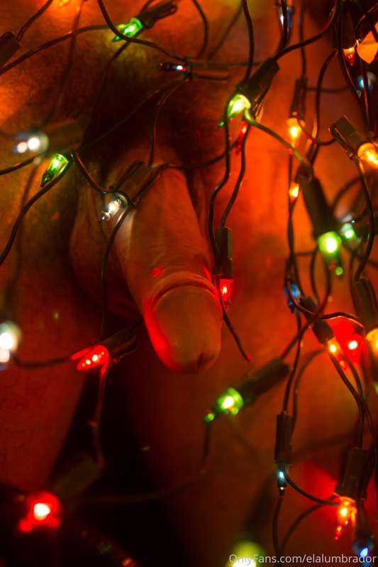 Happy Holidays