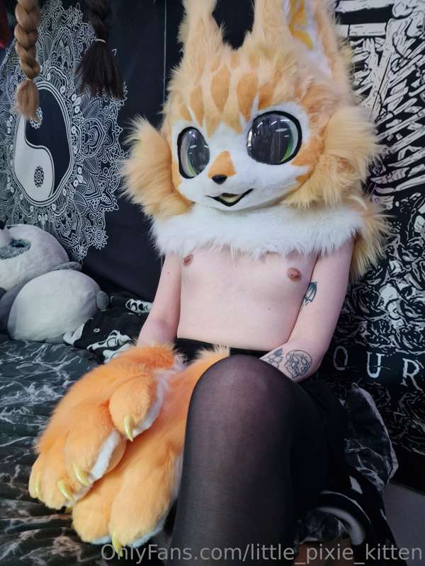 I got new paws for Kiko 💛 3