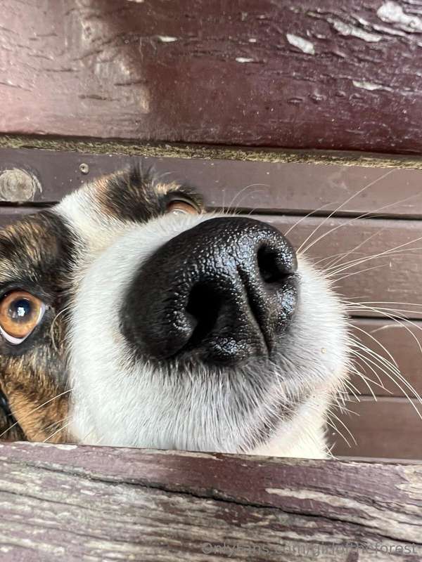 Hi my sweet buns, I hope you’re all doing well and staying h.. 3