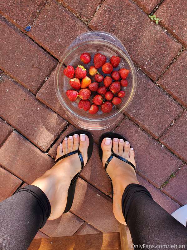 Making strawberry wine from handpicked berries ♡ this has be.. 7