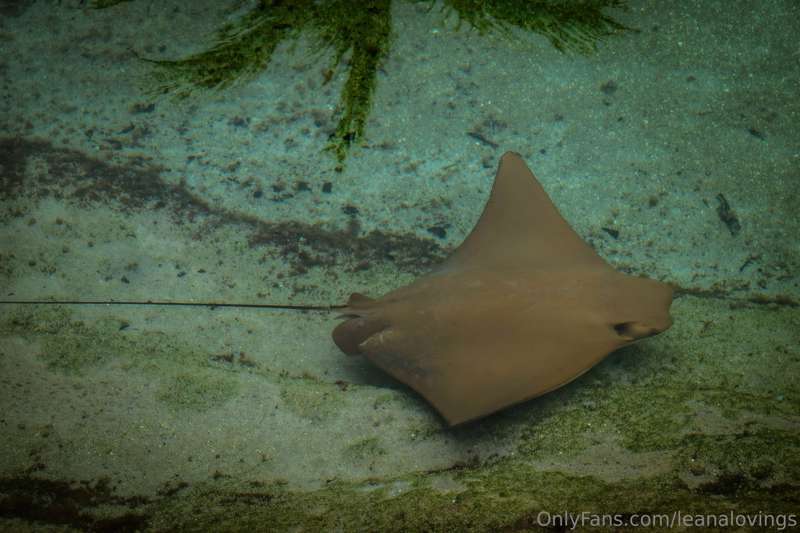 I visited the Miami Seaquarium recently, and wanted to share.. 3