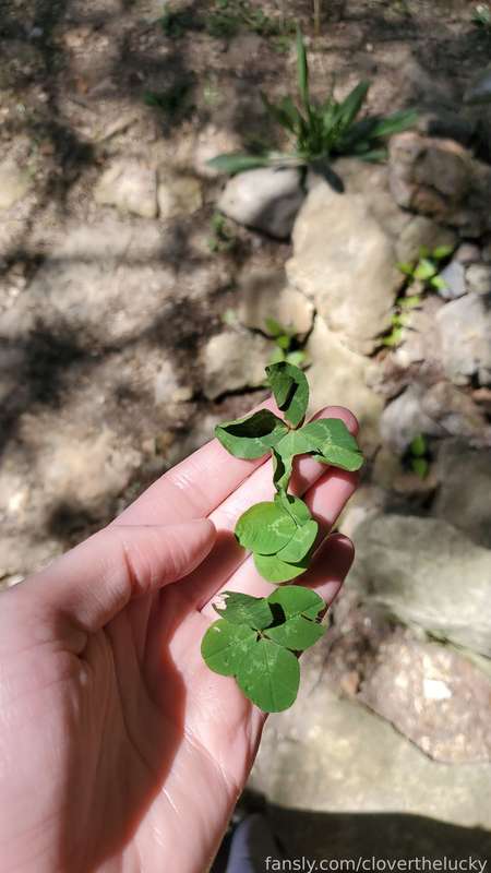 Cloverthelucky - Fansly - 06 May, 2023 9