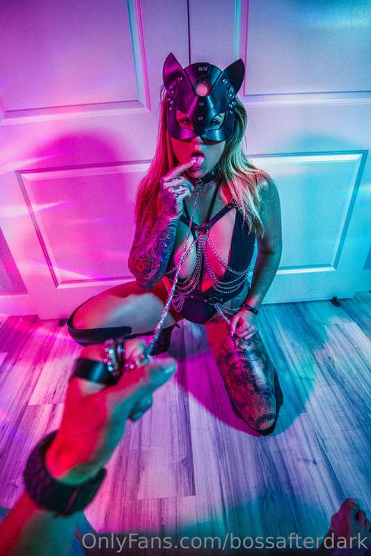 Here, kitty kitty. Latest and greatest with @xdianadiamondx